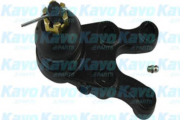 KAVO PARTS SBJ-5507 Несущий / направляющий шарн