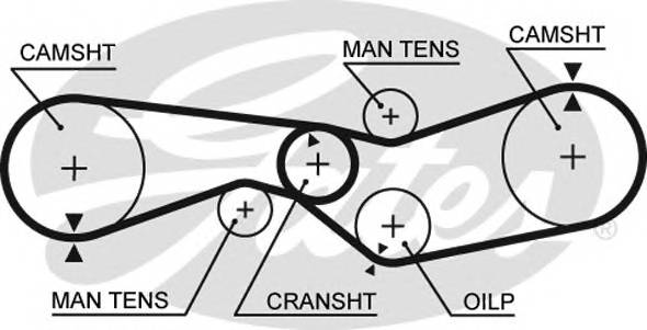 GATES 5009 Ремінь ГРМ