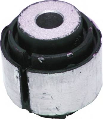 BIRTH 2643 Подвеска, рычаг независимо