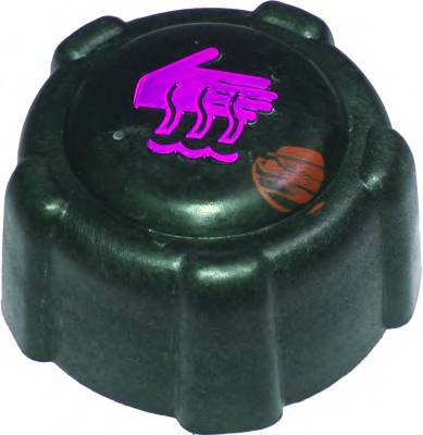 BIRTH 8498 Крышка, резервуар охлаждаю