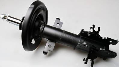 DENCKERMANN DSB276G Амортизатор DENCKERMANN DSB276G Амортизатор