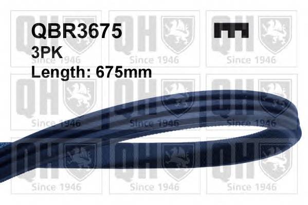 QUINTON HAZELL QBR3675 Поликлиновой ремень QUINTON HAZELL QBR3675 Поликлиновой ремень