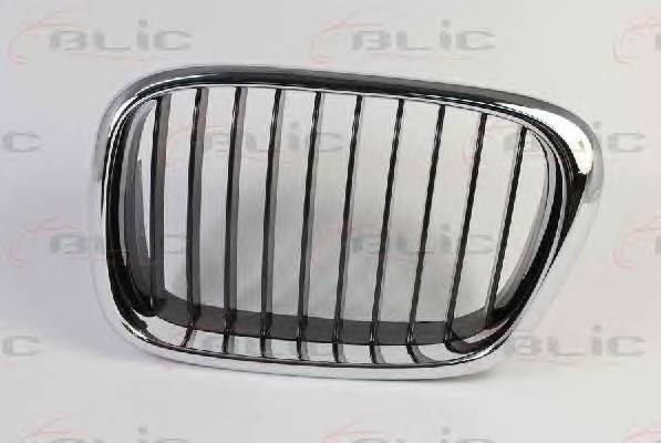 BLIC 6502-07-00659911P Решетка радиатора