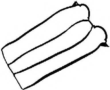 REINZ 71-33846-00 Прокладка, крышка головки ц