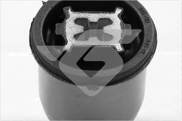 HUTCHINSON 590285 Сайлентблок задней балки C4n