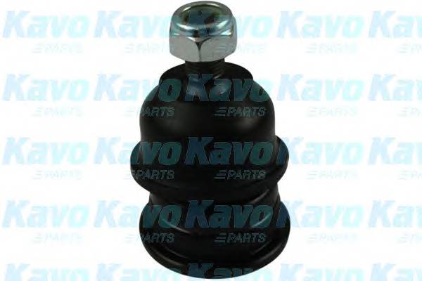 KAVO PARTS SBJ-5501 Несущий / направляющий шарн