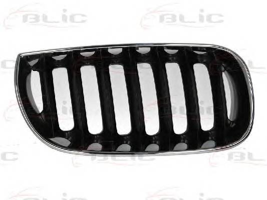 BLIC 6502-07-0093992P Решетка радиатора