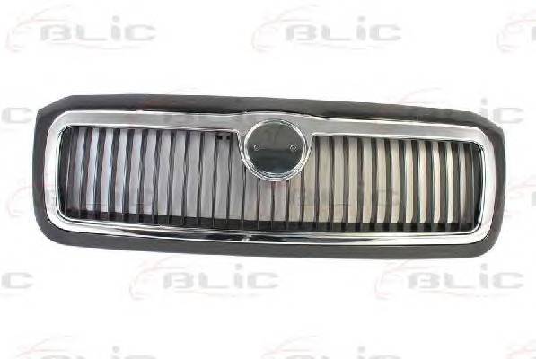 BLIC 6502-07-7513993P Решетка радиатора