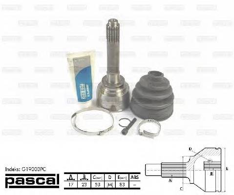 PASCAL G19003PC Шарнирный комплект, привод