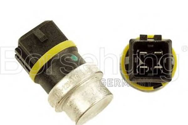 BORSEHUNG B13134 Датчик, внутренняя темпера
