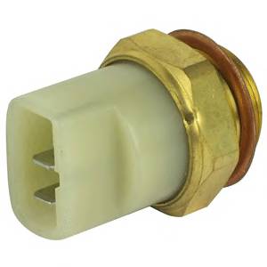 DELPHI TS10298 Термовыключатель, вентилят