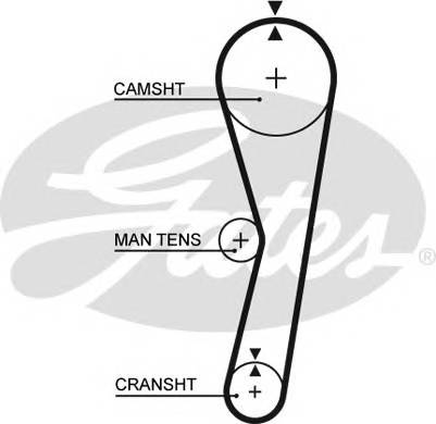 GATES 5024 Ремень ГРМ