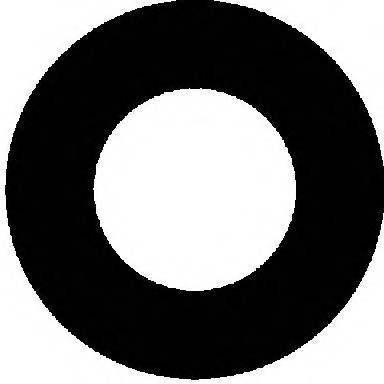 REINZ 71-31694-00 Прокладка, болт крышка голо