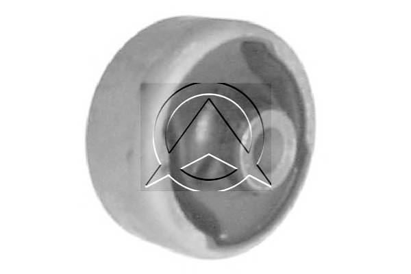 SIDEM 801608 Подвеска, рычаг независимо�