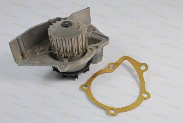 THERMOTEC D1C020TT Водяной насос