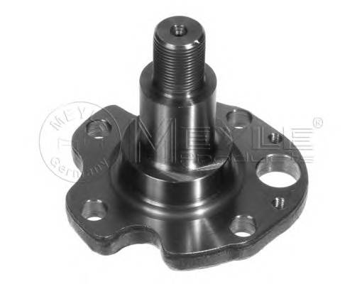 MEYLE 100 501 0029 Поворотный кулак, подвеска 