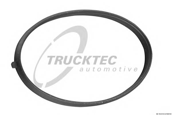 TRUCKTEC AUTOMOTIVE 02.16.055 Прокладка, корпус впускног...