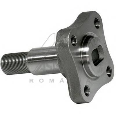ASAM 30247 Цапфа задня Dacia Logan 1.4 MPI, 1.6 MPI