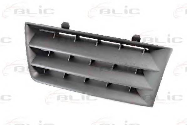 BLIC 6502-07-6041991P Решетка радиатора