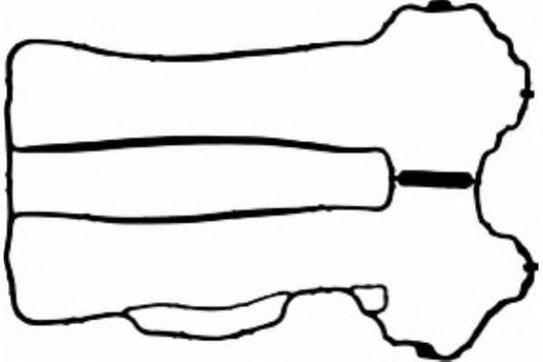 PAYEN JM5121 Прокладка, крышка головки ц... PAYEN JM5121 Прокладка, крышка головки ц...