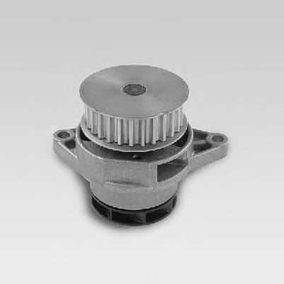 HEPU P558 Водяний насос HEPU P558 Водяний насос