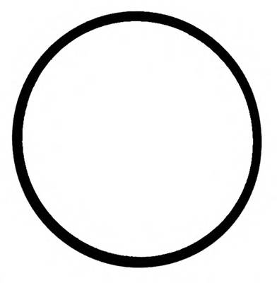 REINZ 71-77546-00 Прокладка, корпус впускног...