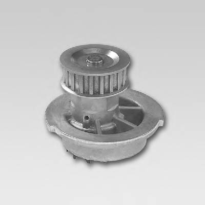 HEPU P791 Водяний насос HEPU P791 Водяний насос