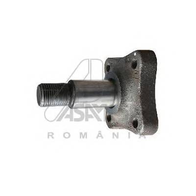 ASAM 30319 Цапфа задня Dacia Duster 2010-