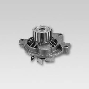 HEPU P616 Водяний насос HEPU P616 Водяний насос