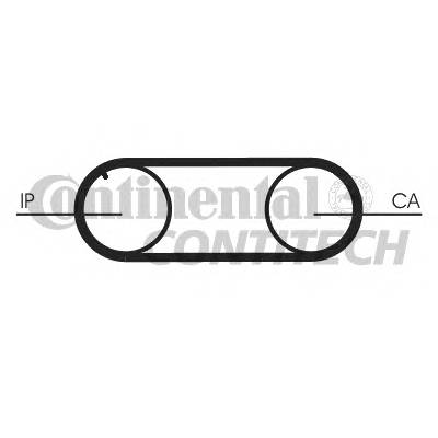 CONTITECH CT645 Ремінь ГРМ CONTITECH CT645 Ремінь ГРМ