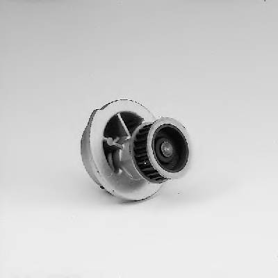 HEPU P317 Водяний насос HEPU P317 Водяний насос
