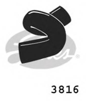 GATES 3816 Шланг радиатора